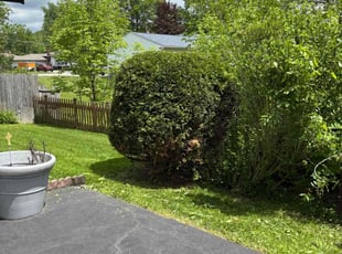 Bush Trimming by Zeke Clark for William H. in Brunswick, OH