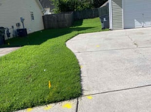 Jamar P.'s Lawn Mowing Service service result