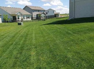 Joan E.'s Lawn Mowing Service service result