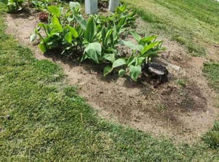 Weeding by Isaiah Cuthbertson for Catherine Y. in Kannapolis, NC