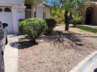 Bush Trimming by Lamont Johnson for Nick O. in Las Vegas, NV