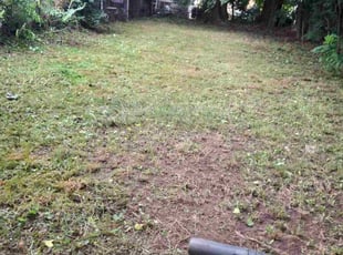 Leaf Removal by Luis Fructuoso for Adam Y. in Hillside, NJ