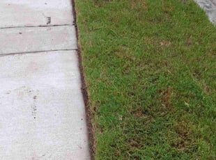 James P.'s Lawn Mowing Service service result