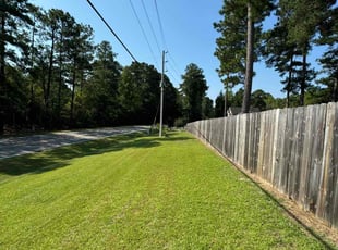 Jenelle A.'s Lawn Mowing service result