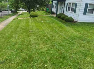 Sarah B.'s Lawn Mowing service result