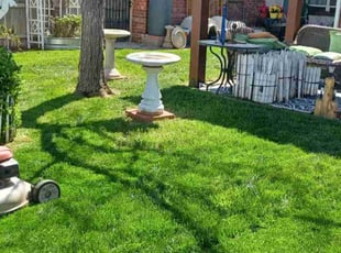 Jimmy Z.'s Lawn Care service result