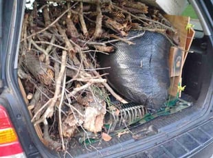 Leaf Removal by Kelly Scarborough for Brandy p. in Woodbridge, VA