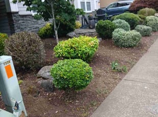 Leaf Removal by Igor Kernogitski for David M. in Gladstone, OR
