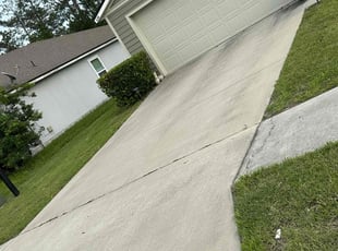 Bush Trimming by Steven Newman for Sarah V. in Middleburg, FL