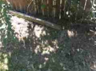 Cleanups by John GABALDON for Nicole N. in Portland, OR