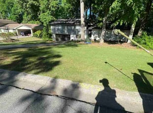 Ebony H.'s Lawn Service service result