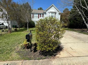 Bush Trimming by Terrance Flowers for Raven M. in Charlotte, NC