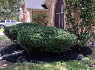 Mulching by Efrain Perez for James G. in Katy, TX