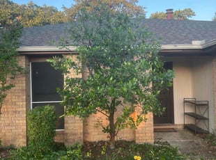 Bush Trimming by Julian Sanchez for Daniel G. in Bedford, TX