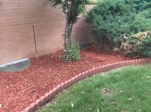 Mulching by Chris Heath for Linda b. in Denver, CO