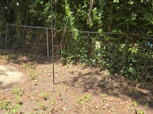 Leaf Removal by Michael Albert for Ethel H. in Fayetteville, NC