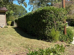 Bush Trimming by Jarvis Hambrick for Chris M. in Taylors, SC