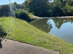 Shirley S.'s Lawn Care service result