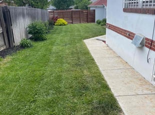 Levon V.'s Lawn Care service result
