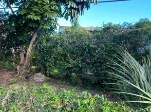 Cleanups by Austin Way for john p. in Delray Beach, FL