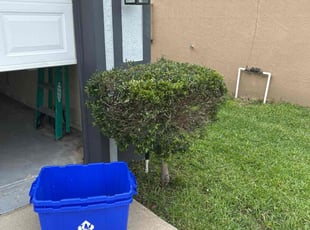 Bush Trimming by Patrick Paul for Stephanie M. in Groveland, FL