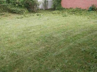 Bush Trimming by Kevin Fondren for John N. in Linthicum Heights, MD
