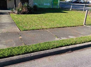 Leaf Removal by Joe Miller for Justin S. in Memphis, TN