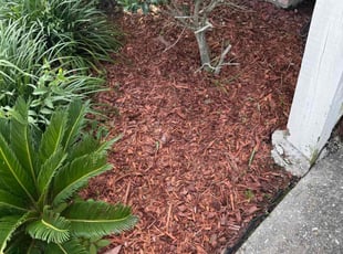 Weeding by Marcus Simon for Courtney S. in Baton Rouge, LA