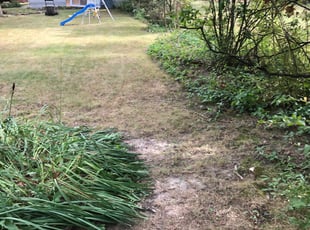 Leaf Removal by Jason Parker for Toby J. in Cleveland Heights, OH