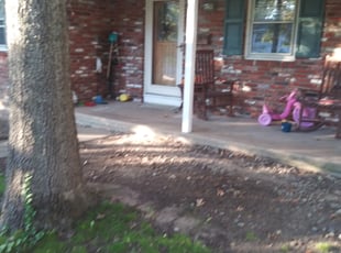 Cleanups by Alejandro Gamboa for Elizabeth I. in Cherry Hill, NJ