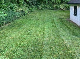 Cheryl E.'s Lawn Maintenance service result