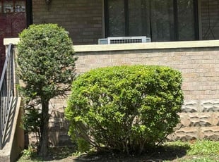 Bush Trimming by Alicia Ralston for Leilani M. in Pittsburgh, PA