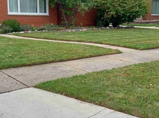 James S.'s Lawn Mowing service result