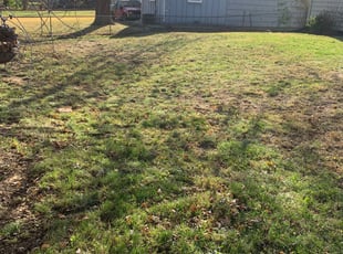 Leaf Removal by Nick Ecker for Genna W. in Overland Park, KS