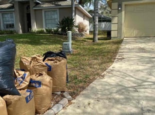 Leaf Removal by Nathan Massey for Frank C. in Davenport, FL