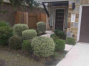 Bush Trimming by Graham Carruthers for Randall G. in Austin, TX