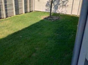 John P.'s Lawn Mowing service result