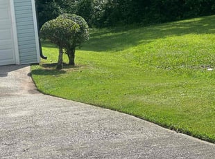 Bush Trimming by Louis Sampson for Adjei B. in Austell, GA