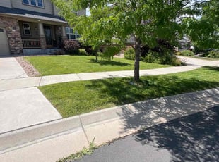 Cathy F.'s Grass Cutting service result