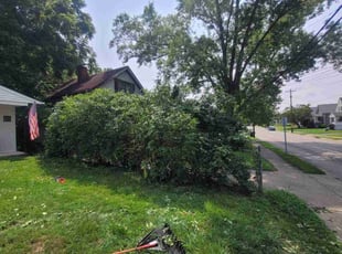 Bush Trimming by Lawrence Tischler for Mark U. in Cincinnati, OH