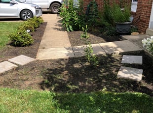 Weeding by Alesandre Duarte for Jason R. in Ashburn, VA