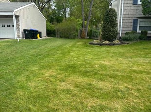 Liam S.'s Lawn Mowing Service service result