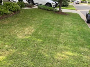 Landscaping by David Whitt for Pierre P. in Chapel Hill, NC