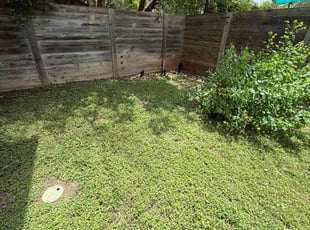 Cleanups by Raquel Gutierrez for David V. in Austin, TX