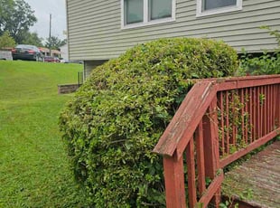 Bush Trimming by Artavius Clark for Julian M. in Oxon Hill, MD