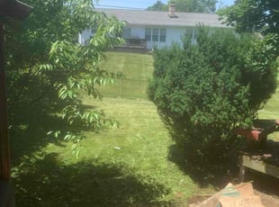 Bush Trimming by Christopher Brown for Rachel C. in Lansing, MI