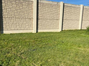 Anita S.'s Lawn Mowing Service service result