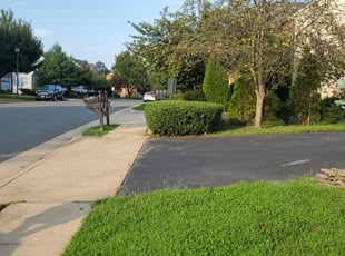 Bush Trimming by Rose Valle for Ray H. in Springfield, VA