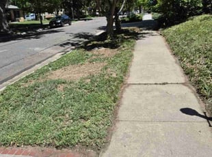 Cleanups by Keylling Cordoba zorrilla for Rebecca L. in Denver, CO