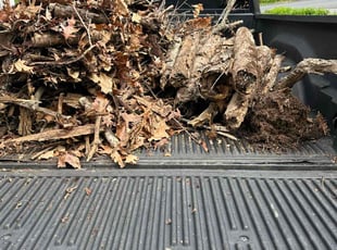 Leaf Removal by Robert Bamrick for Emily M. in Scranton, PA